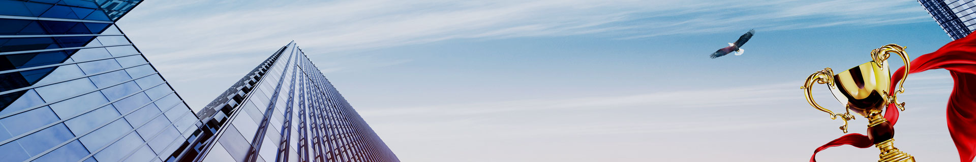 動態(tài)與優(yōu)勢