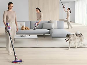 戴森客戶(hù)案例