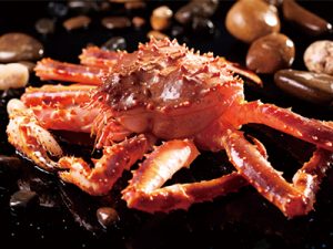 首鮮道客戶案例