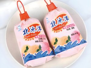 北冰洋客戶案例