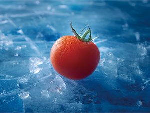 冷鏈倉(cāng)儲(chǔ)如何解決生鮮痛點(diǎn)