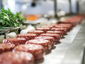 牛羊肉片切生產(chǎn)線 效率快速提升